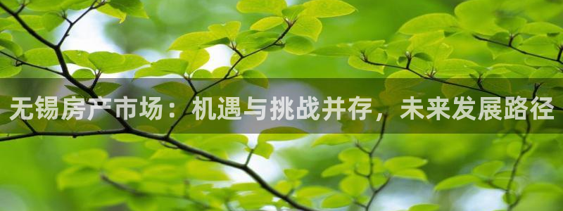 注册风暴娱乐：无锡房产市场：机遇与挑战并存，未来发展路径