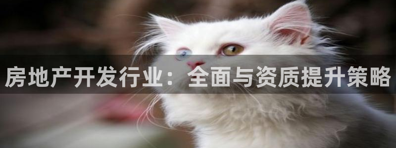 风暴娱乐棋牌：房地产开发行业：全面与资质提升策略
