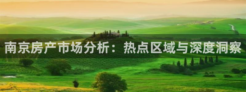 下载风暴娱乐：南京房产市场分析：热点区域与深度洞察