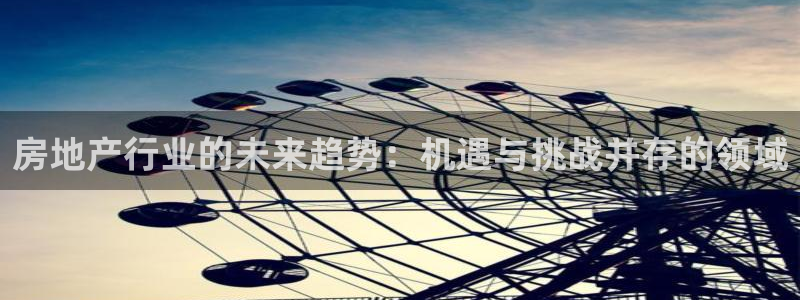 风暴眼娱乐：房地产行业的未来趋势：机遇与挑战并存的领域