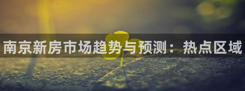 风暴大厅娱乐：南京新房市场趋势与预测：热点区域