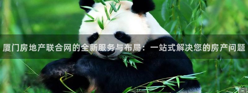 风暴娱乐开户：厦门房地产联合网的全新服务与布局：一站式解决您