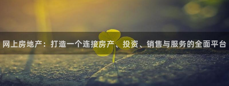 光风暴娱乐：网上房地产：打造一个连接房产、投资、销售与服务的