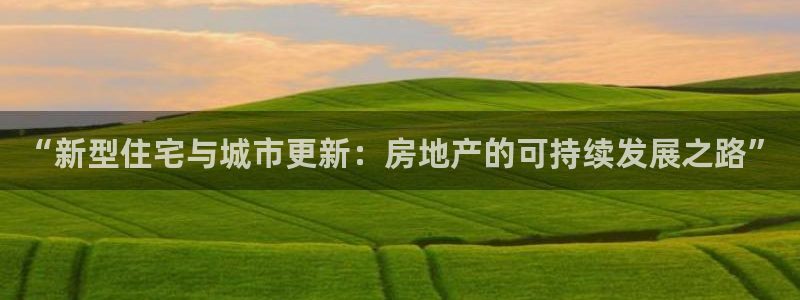 风暴娱乐老板：“新型住宅与城市更新：房地产的可持续发展之路”