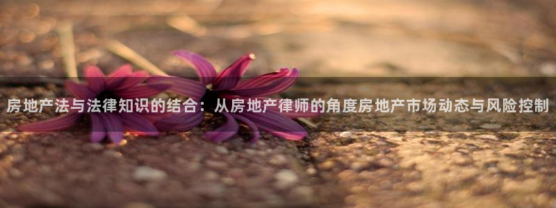 风暴娱乐老板：房地产法与法律知识的结合：从房地产律师的角度房