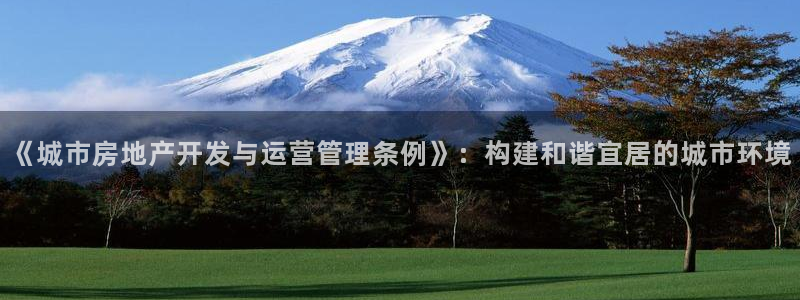 风暴娱乐拉菲8：《城市房地产开发与运营管理条例》：构建和谐宜