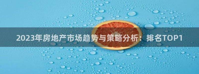 星风暴娱乐：2023年房地产市场趋势与策略分析：排名TOP1