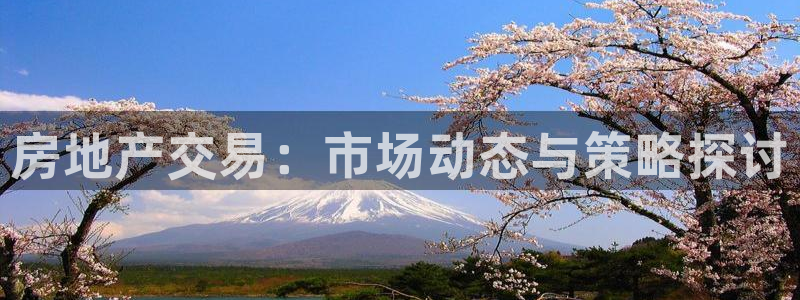 风暴娱乐 风暴注册平台：房地产交易：市场动态与策略探讨