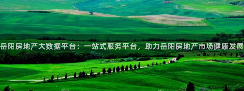 风暴娱乐园：岳阳房地产大数据平台：一站式服务平台，助力岳阳房