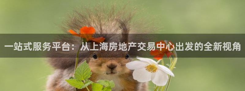 风暴娱乐眼：一站式服务平台：从上海房地产交易中心出发的全新视