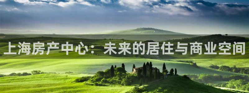 风暴娱乐汇：上海房产中心：未来的居住与商业空间