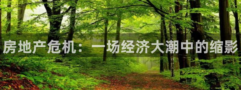 风暴娱乐下5指尖：房地产危机：一场经济大潮中的缩影