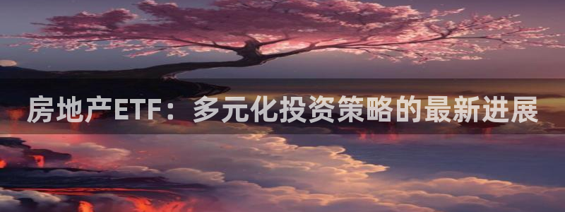 娱乐风暴App：房地产ETF：多元化投资策略的最新进展