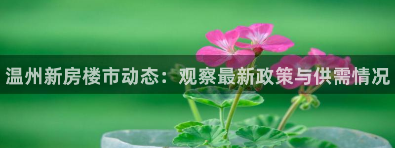 风暴娱乐 平台首页：温州新房楼市动态：观察最新政策与供需情况