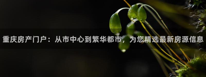 风暴娱乐官网开户：重庆房产门户：从市中心到繁华都市，为您精选