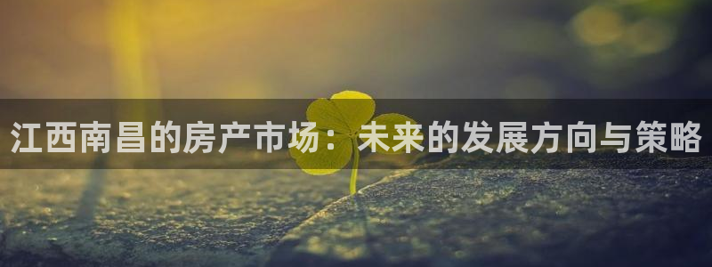 完美风暴 娱乐：江西南昌的房产市场：未来的发展方向与策略