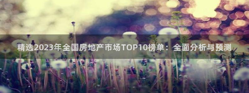 风暴娱乐5O6917：精选2023年全国房地产市场TOP10