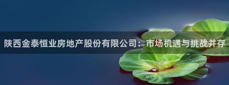 蓝色风暴娱乐：陕西金泰恒业房地产股份有限公司：市场机遇与挑战